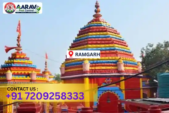 ramgarh pest control, pest control in ramgarh, pest control service ramgarh, pest control company in ramgarh, best pest control ramgarh, home pest control ramgarh, commercial pest control ramgarh, termite control in ramgarh, termite treatment ramgarh, termite control service ramgarh, cockroach control ramgarh, cockroach treatment ramgarh, mosquito control ramgarh, mosquito treatment ramgarh, bed bug control ramgarh, bed bug treatment ramgarh, rat control ramgarh, rodent control ramgarh, lizard control ramgarh, ant control ramgarh, general pest control ramgarh, pest management ramgarh, pest control price ramgarh, ramgarh pest control price list, price list in ramgarh, pest control company in ramgarh, termite control in ramgarh, affordable pest control ramgarh, pest control near me ramgarh, professional pest control ramgarh, pest control services ramgarh jharkhand, aarav pest control ramgarh, aarav pest control in ramgarh, aarav pest control jharkhand.